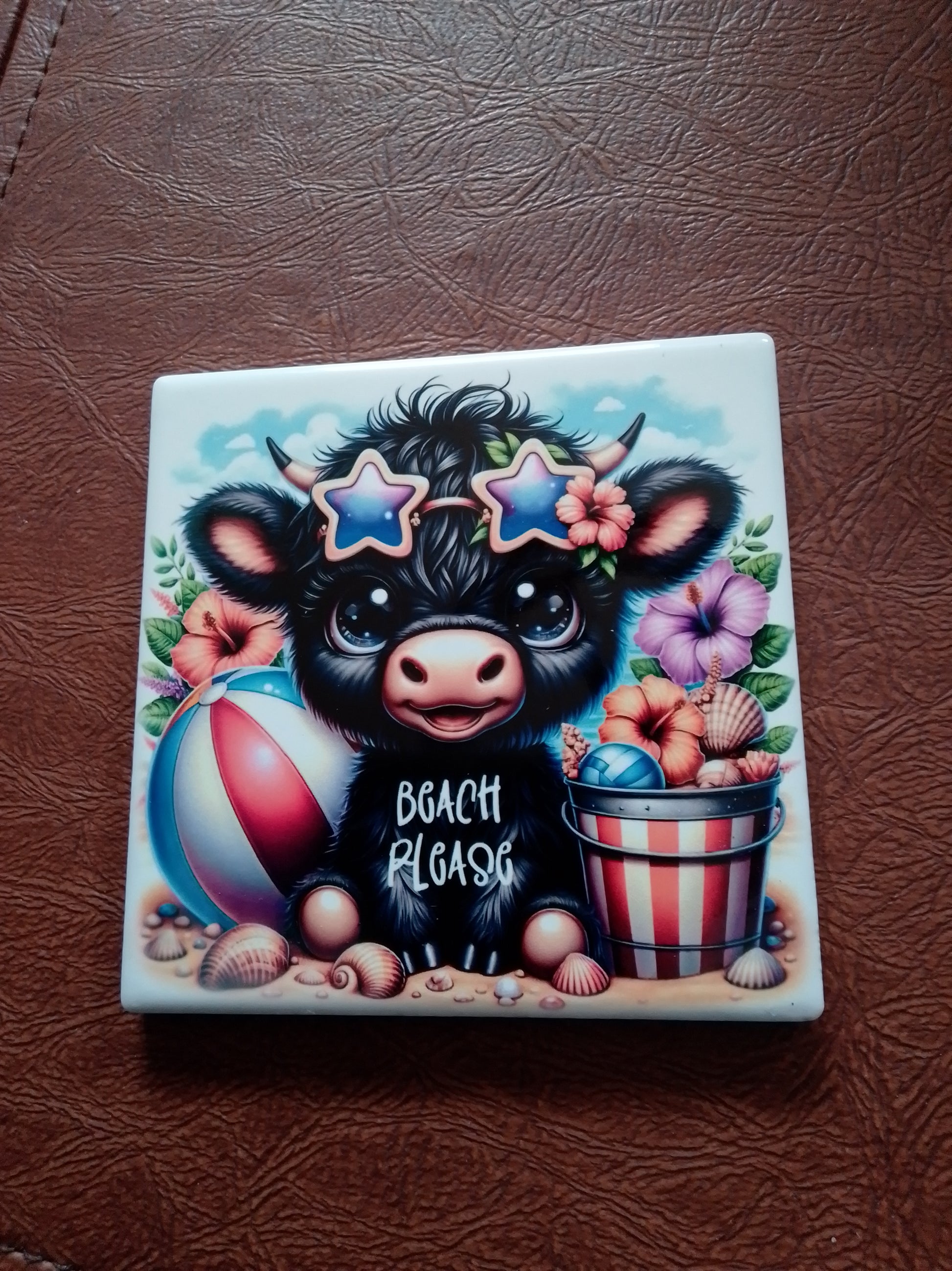 Ceramic Coasters